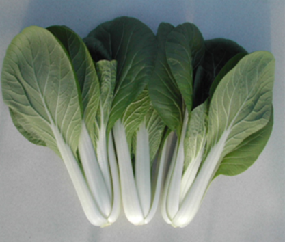 Pak-choy
