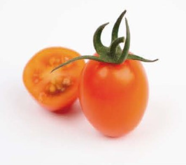 TY Primo Orange